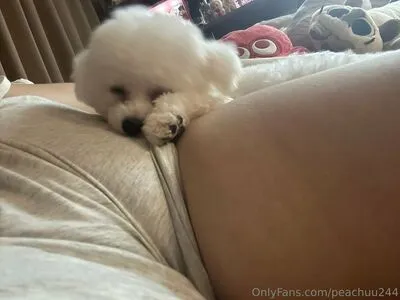 Peachuu244 OnlyFans Leaked Free Thumbnail Picture - #xvhAJw9xdK