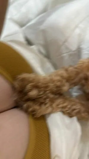 Peiying P OnlyFans Leaked Free Thumbnail Picture - #aBLVaOSeRe