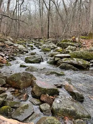 Perky Princess OnlyFans Leaked Free Thumbnail Picture - #2lr3Zllan9