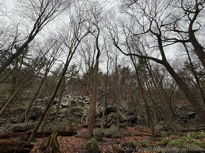 Perky Princess OnlyFans Leaked Free Thumbnail Picture - #zMoS2wpIUj