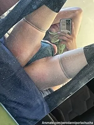 Perodanniporlachucha OnlyFans Leaked Free Thumbnail Picture - #5uWcoaybgb