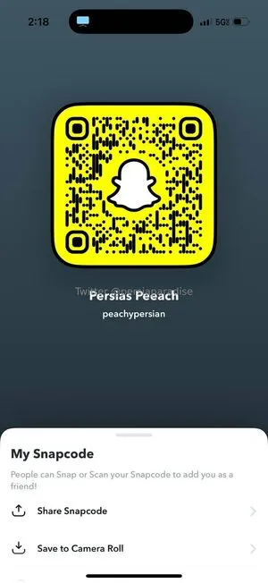 Persiasparadise OnlyFans Leaked Free Thumbnail Picture - #3vDCN6MLiA
