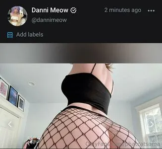 Phatcatsama OnlyFans Leaked Free Thumbnail Picture - #NCEY32tfGl