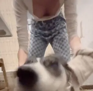 Phia Quantius OnlyFans Leaked Free Thumbnail Picture - #cGgPtHpB7y