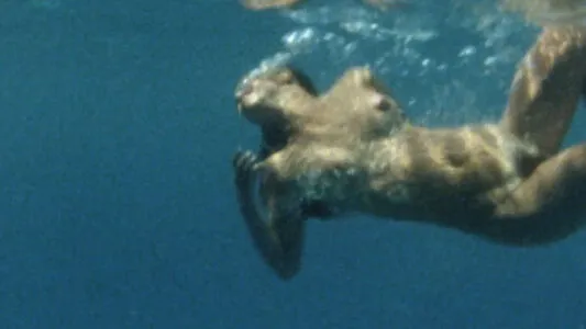 Phoebe Cates OnlyFans Leaked Free Thumbnail Picture - #7YJaXOxwTs