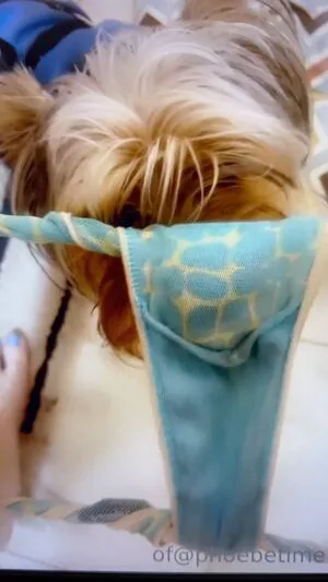 Phoebe Price OnlyFans Leaked Free Thumbnail Picture - #7AjTImcWnh