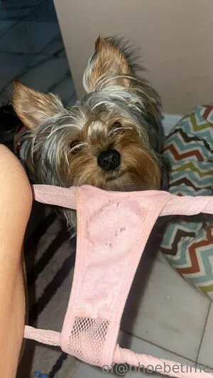 Phoebe Price OnlyFans Leaked Free Thumbnail Picture - #RfqsRezw8A