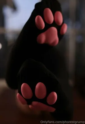 Phorestgrump OnlyFans Leaked Free Thumbnail Picture - #03n6xRTKCG