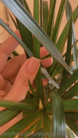 photopolli OnlyFans Leaked Free Thumbnail Picture - #5JfCR0E3iv