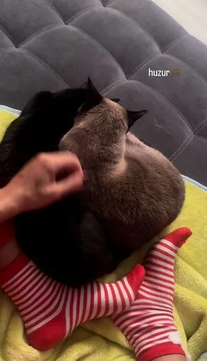 Pinars0ylu OnlyFans Leaked Free Thumbnail Picture - #yboR5uwP3F