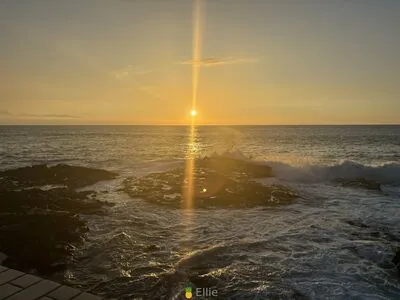Pineapple Ellie Free OnlyFans Leaked Free Thumbnail Picture - #pQHG189NIo