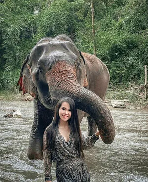 Pingthai OnlyFans Leaked Free Thumbnail Picture - #LNvw1t9kbQ