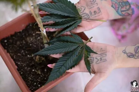 Pink Suicide OnlyFans Leaked Free Thumbnail Picture - #7K62NJqZZl