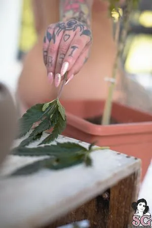 Pink Suicide OnlyFans Leaked Free Thumbnail Picture - #MD4TtIOI14