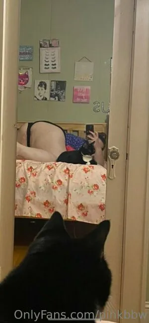Pinkbbw OnlyFans Leaked Free Thumbnail Picture - #gxoxOSOo85