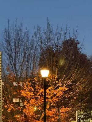 Pinkcellphon OnlyFans Leaked Free Thumbnail Picture - #0eiE2o8PUC