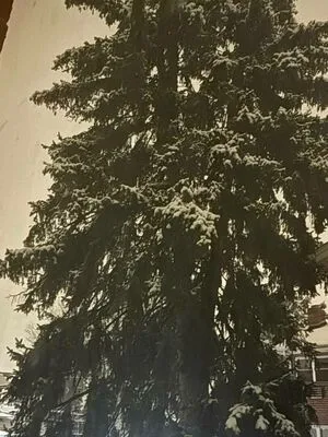 Pinkcellphon OnlyFans Leaked Free Thumbnail Picture - #1SYknGJQUL