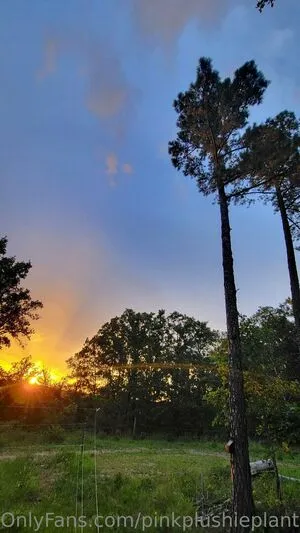 Pinkplushieplants OnlyFans Leaked Free Thumbnail Picture - #JDpqFAzegq