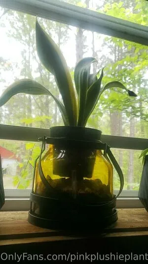 Pinkplushieplants OnlyFans Leaked Free Thumbnail Picture - #R1ghWOOqPu