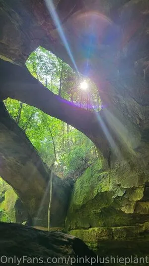 Pinkplushieplants OnlyFans Leaked Free Thumbnail Picture - #SiGCbUb8IO