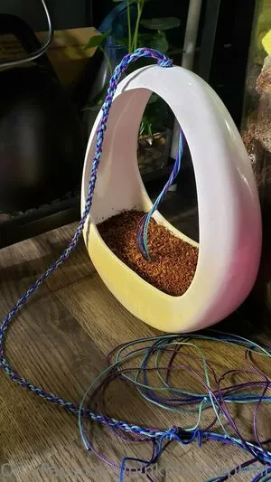 Pinkplushieplants OnlyFans Leaked Free Thumbnail Picture - #cxKNZtSb4B