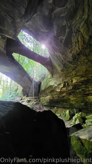 Pinkplushieplants OnlyFans Leaked Free Thumbnail Picture - #pOybpr9MkQ