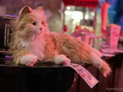 Piperblushfree OnlyFans Leaked Free Thumbnail Picture - #KAlAuQZbmo