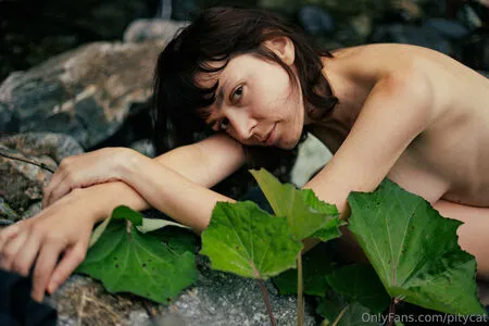 Pitycat OnlyFans Leaked Free Thumbnail Picture - #FFNwBjsMRO