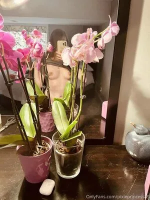 Pixieprincess89 OnlyFans Leaked Free Thumbnail Picture - #bWQeVozzX1