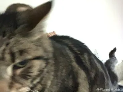 Planetmonica OnlyFans Leaked Free Thumbnail Picture - #POmwGLbJSH