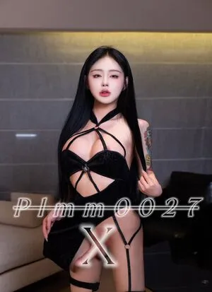Plmm0027 OnlyFans Leaked Free Thumbnail Picture - #M0ES6VecPg