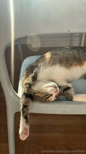 Plscrycarmen OnlyFans Leaked Free Thumbnail Picture - #1IH8sSt9nK