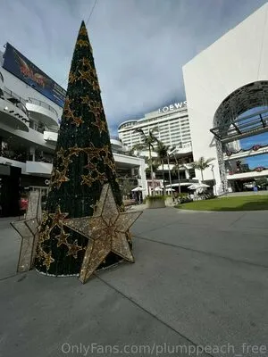 Plumppeach Free OnlyFans Leaked Free Thumbnail Picture - #rgWsOQrMLR