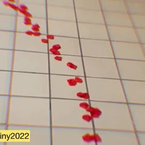 Pmella OnlyFans Leaked Free Thumbnail Picture - #hfxWRMkH5T