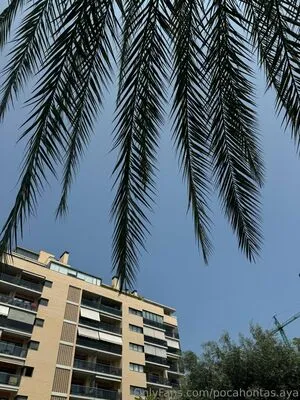 Pocahontas Aya OnlyFans Leaked Free Thumbnail Picture - #Wl6xNBy3xV