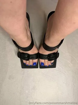 Poisonmarshmallow OnlyFans Leaked Free Thumbnail Picture - #2nGyhGSug0