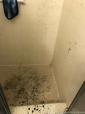 Polyxena OnlyFans Leaked Free Thumbnail Picture - #iMcuwuGPsn