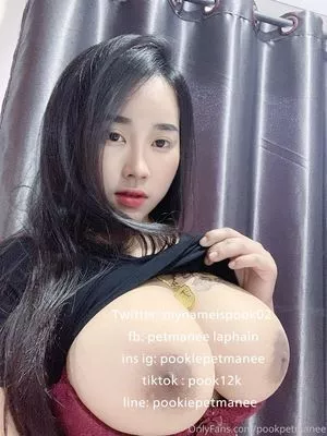 pookpetmanee OnlyFans Leaked Free Thumbnail Picture - #m0IeDBGqDQ