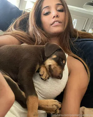Poonampandeytv OnlyFans Leaked Free Thumbnail Picture - #GBqIL97dQ8
