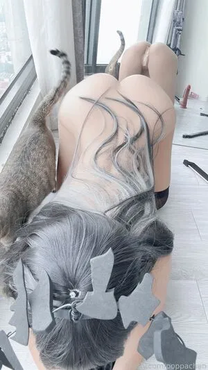 PoppaChan OnlyFans Leaked Free Thumbnail Picture - #d5Mmrg7Jbb