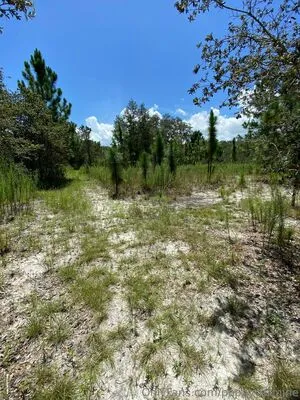 Poppycarmine OnlyFans Leaked Free Thumbnail Picture - #t7cPHRocRv