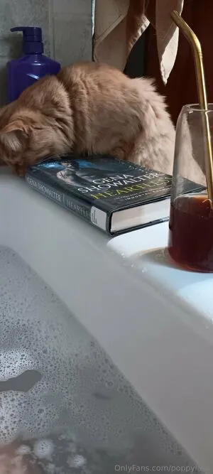 Poppylane OnlyFans Leaked Free Thumbnail Picture - #2q1hFDci7A