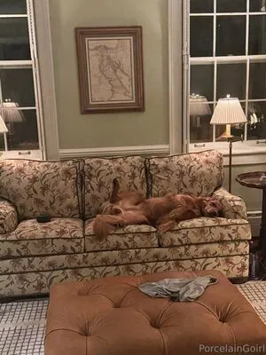 Porcelaingoirl OnlyFans Leaked Free Thumbnail Picture - #5saXAIEg7D