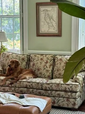 Porcelaingoirl OnlyFans Leaked Free Thumbnail Picture - #b1VW3ck93w