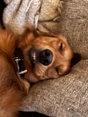 Porcelaingoirl OnlyFans Leaked Free Thumbnail Picture - #hbJ4eqnOgF