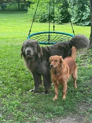 Porcelaingoirl OnlyFans Leaked Free Thumbnail Picture - #oKfy6OM75y