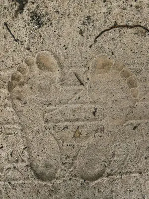 Portofbones OnlyFans Leaked Free Thumbnail Picture - #KRgKj5Os9B