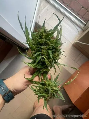 Povidlo7 OnlyFans Leaked Free Thumbnail Picture - #lb5fP4iv8e