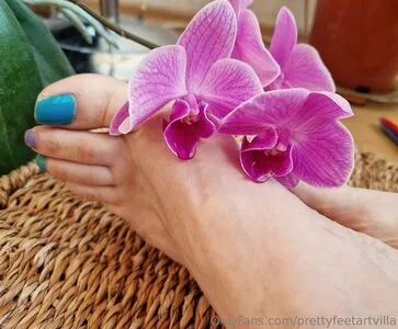 Prettyfeetartvilla OnlyFans Leaked Free Thumbnail Picture - #ecj7hVg5Ls