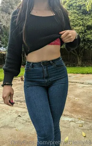 Prettylittlelily48 OnlyFans Leaked Free Thumbnail Picture - #4oeD3qJabj
